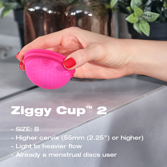 Đĩa Nguyệt San Có Thể Quan Hệ Ziggy Cup™ 2