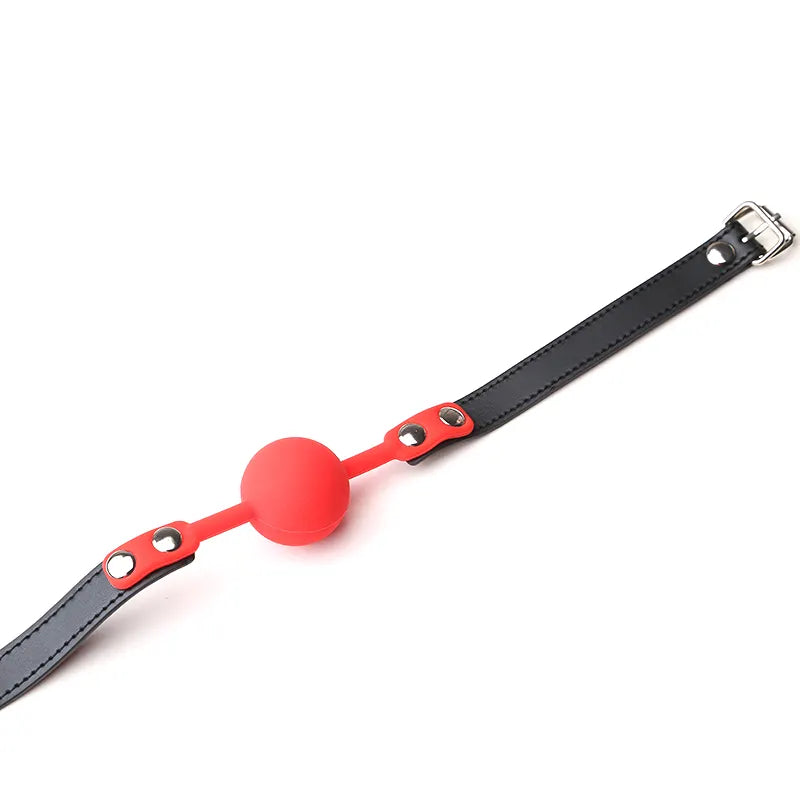 <tc>BDSM Ball Gag With Leather Strap</tc>