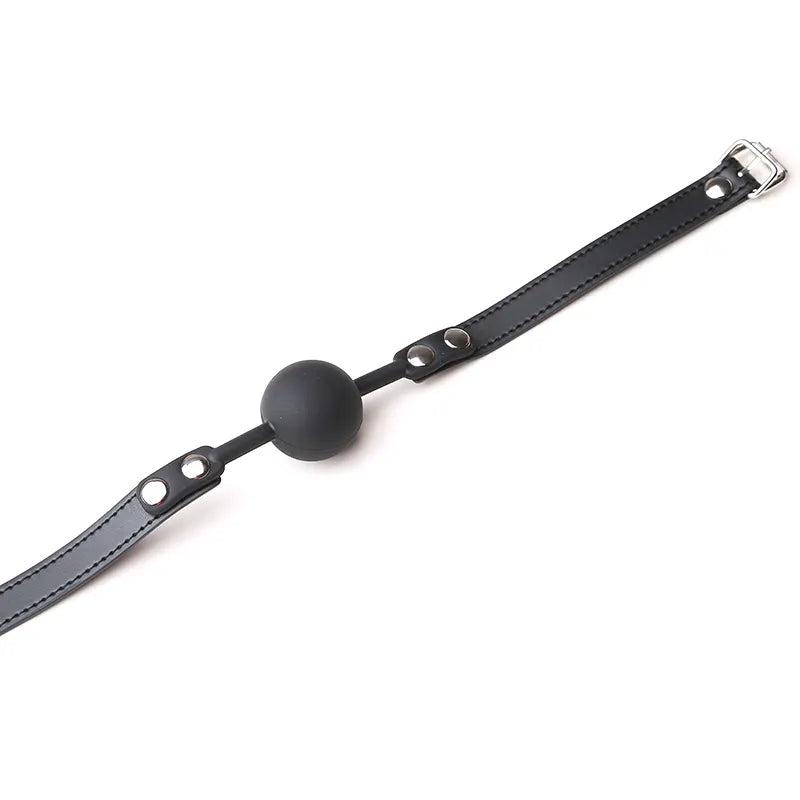 <tc>BDSM Ball Gag With Leather Strap</tc>