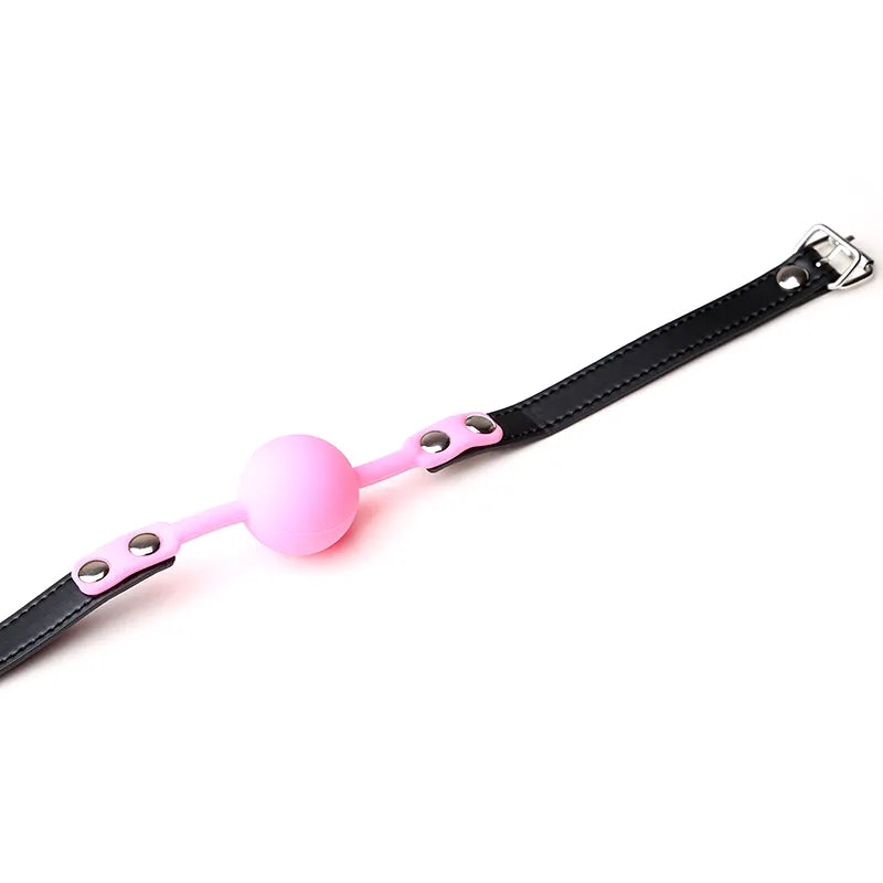 <tc>BDSM Ball Gag With Leather Strap</tc>