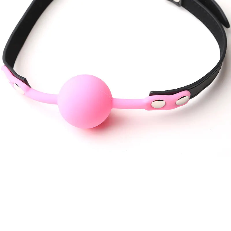 <tc>BDSM Ball Gag With Leather Strap</tc>