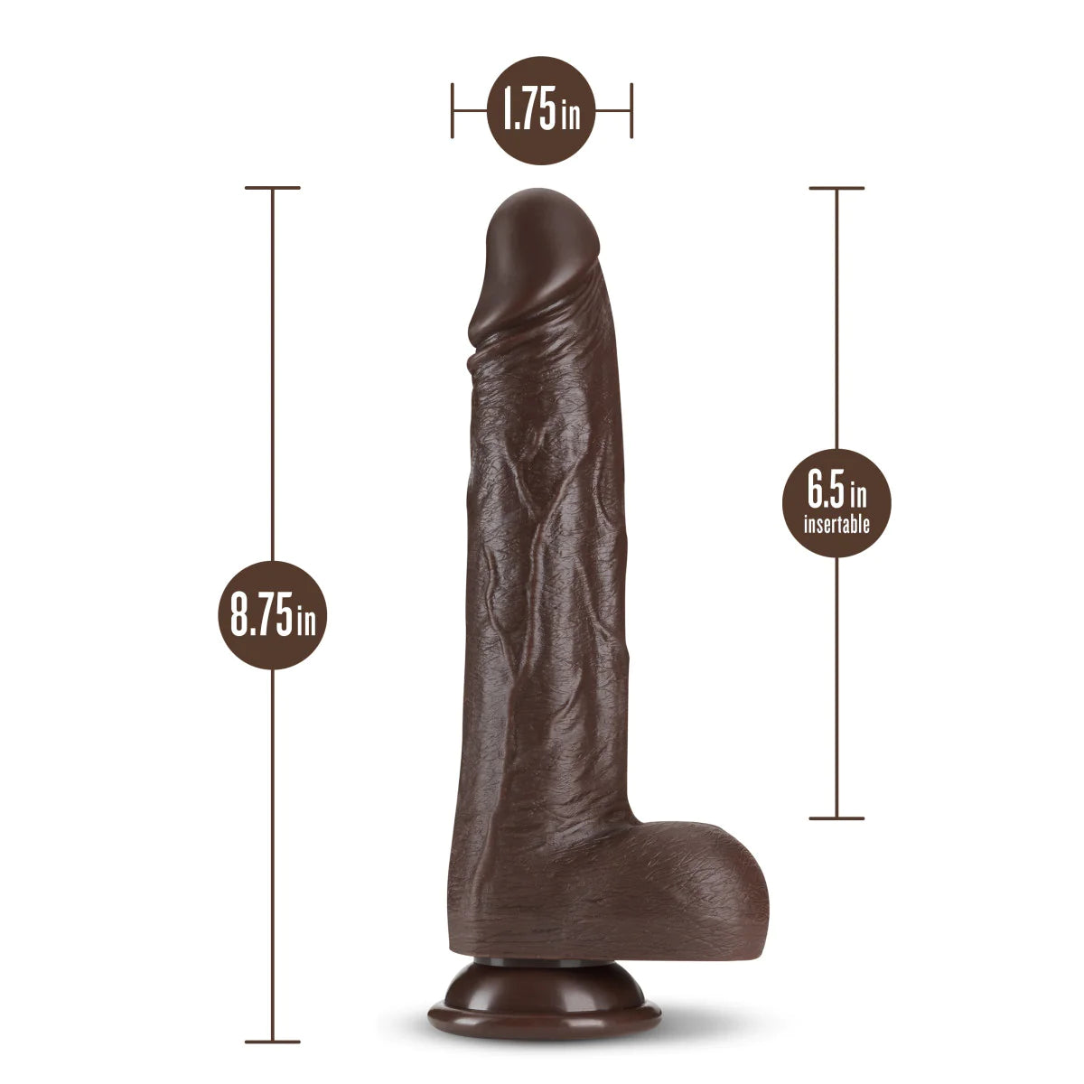 Dildo Dr. Skin Vibration Enema Dr. Murphy Chocolate