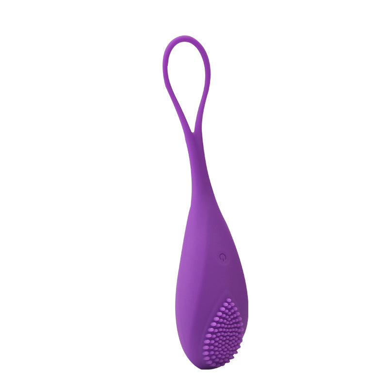 <tc>Little Purple Devil Vibrating Kegel Egg + Remote Control</tc>